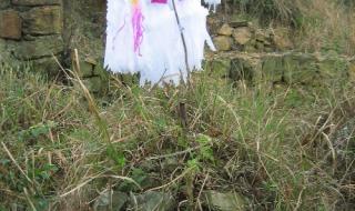 扫墓的小白花怎么折